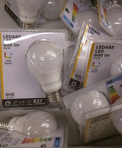 LED-owe kontrowersje. Co warto wiedzieć o popularnych żarówkach?