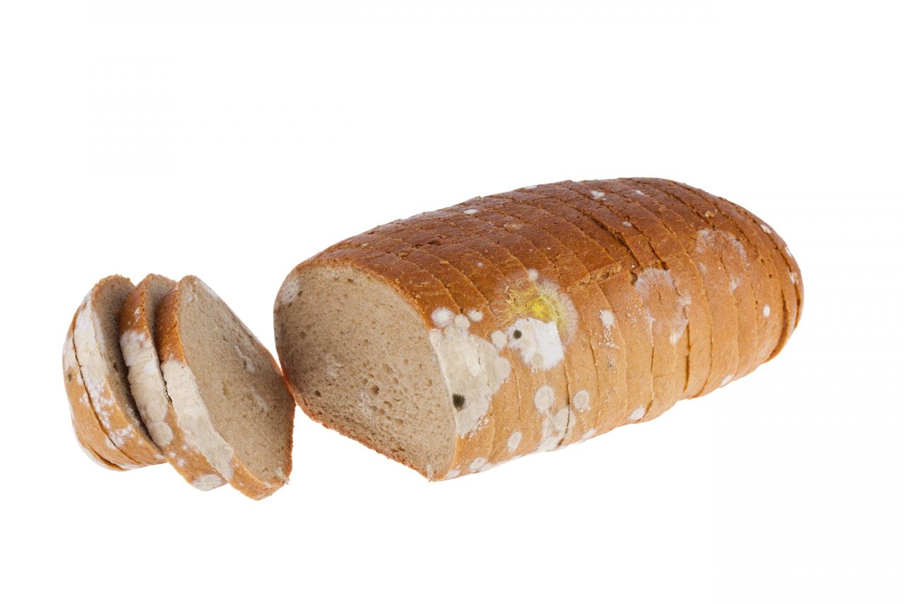Moldy sliced bread loaf over a white background.