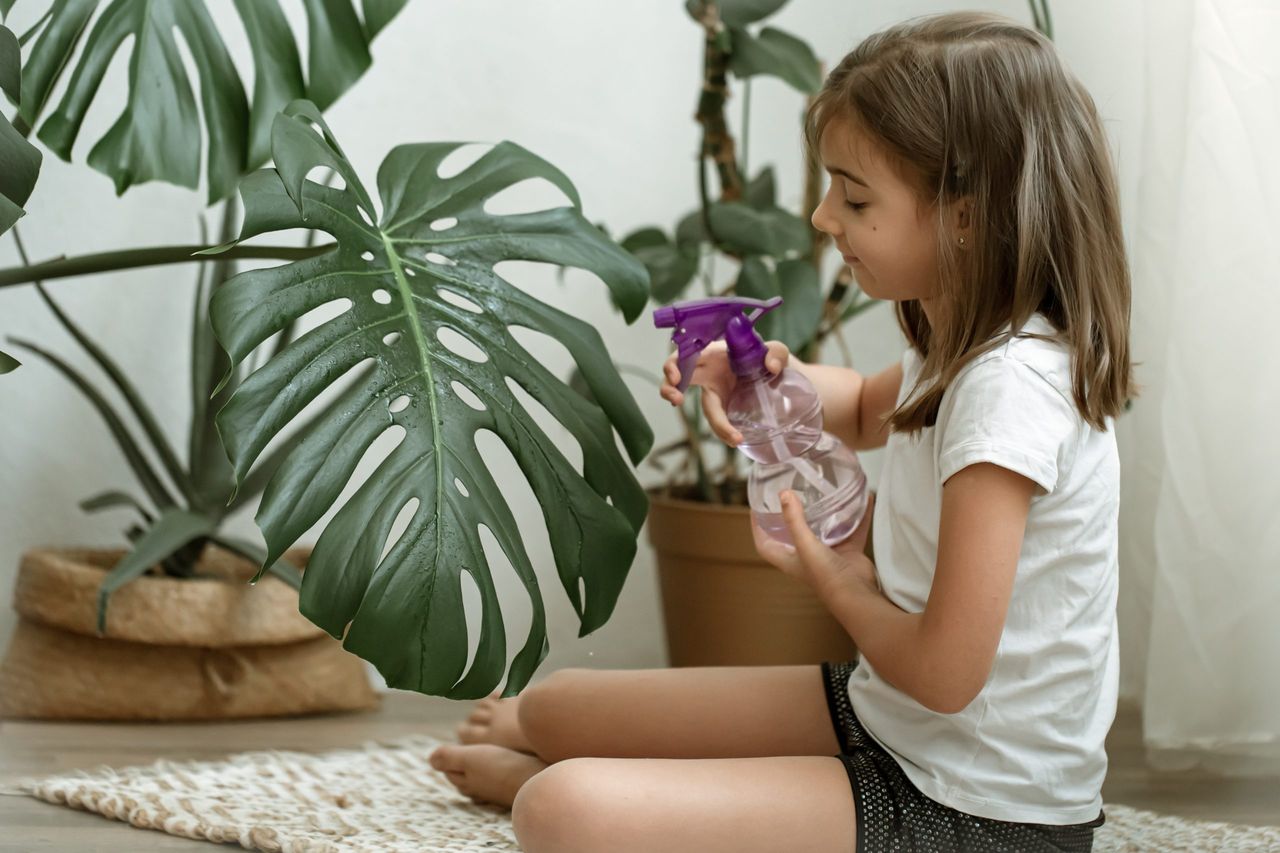 A little girl takes care of houseplants, spray the leaves with water.