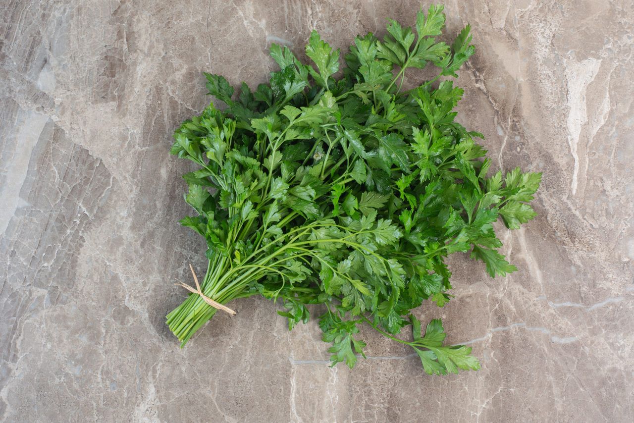 Parsley leaves tied up on marble background. High quality photo