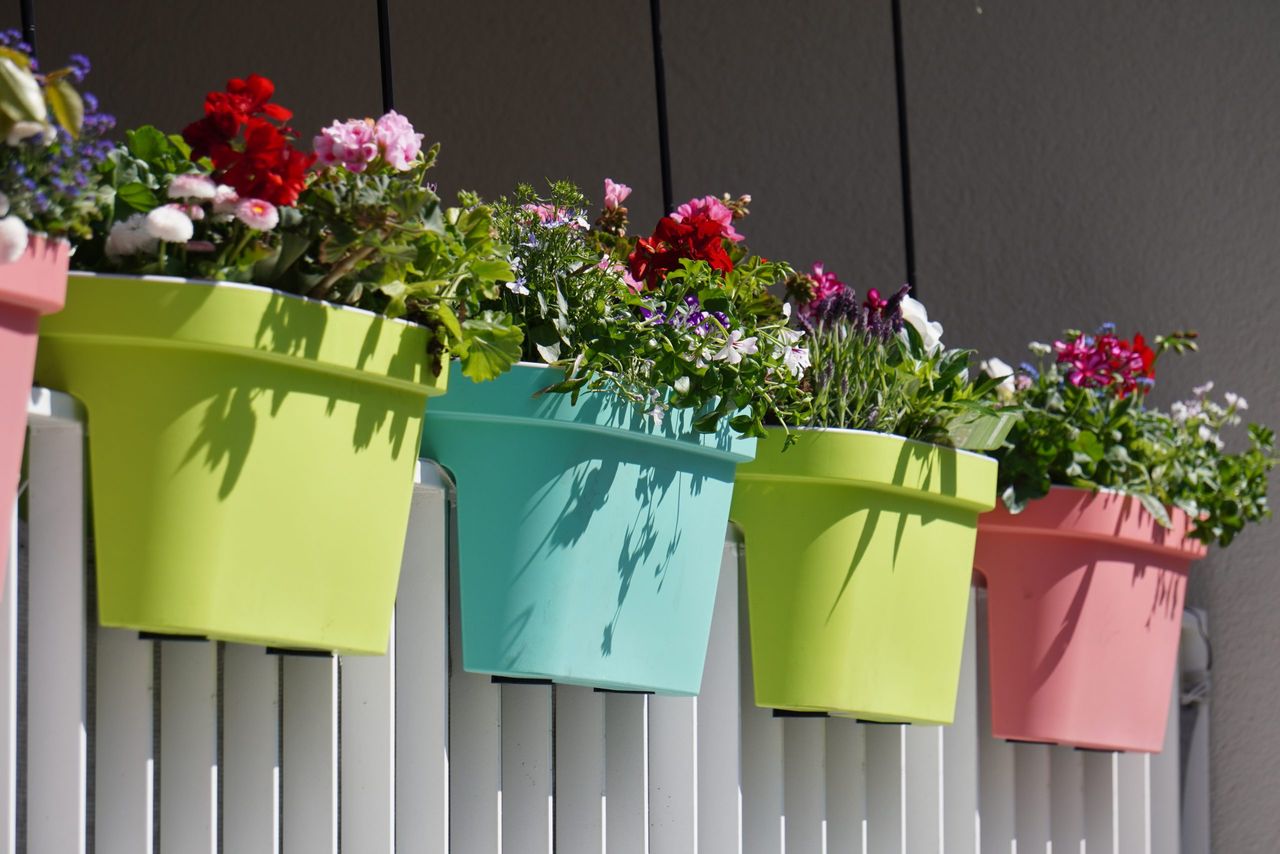 The flowers with colorful pots on a white fence