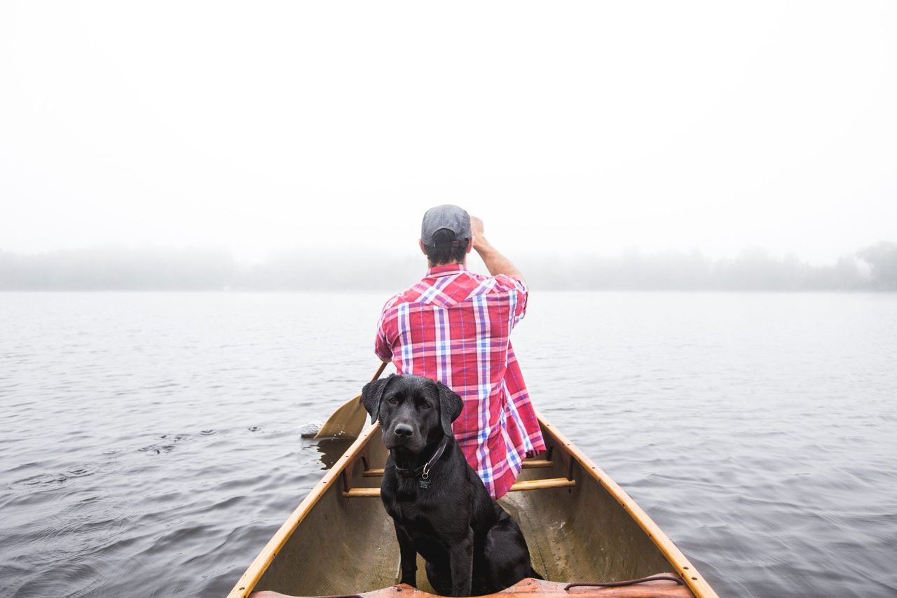 A beautiful shot of a black dog and a male sailing on a small boat on body of water
