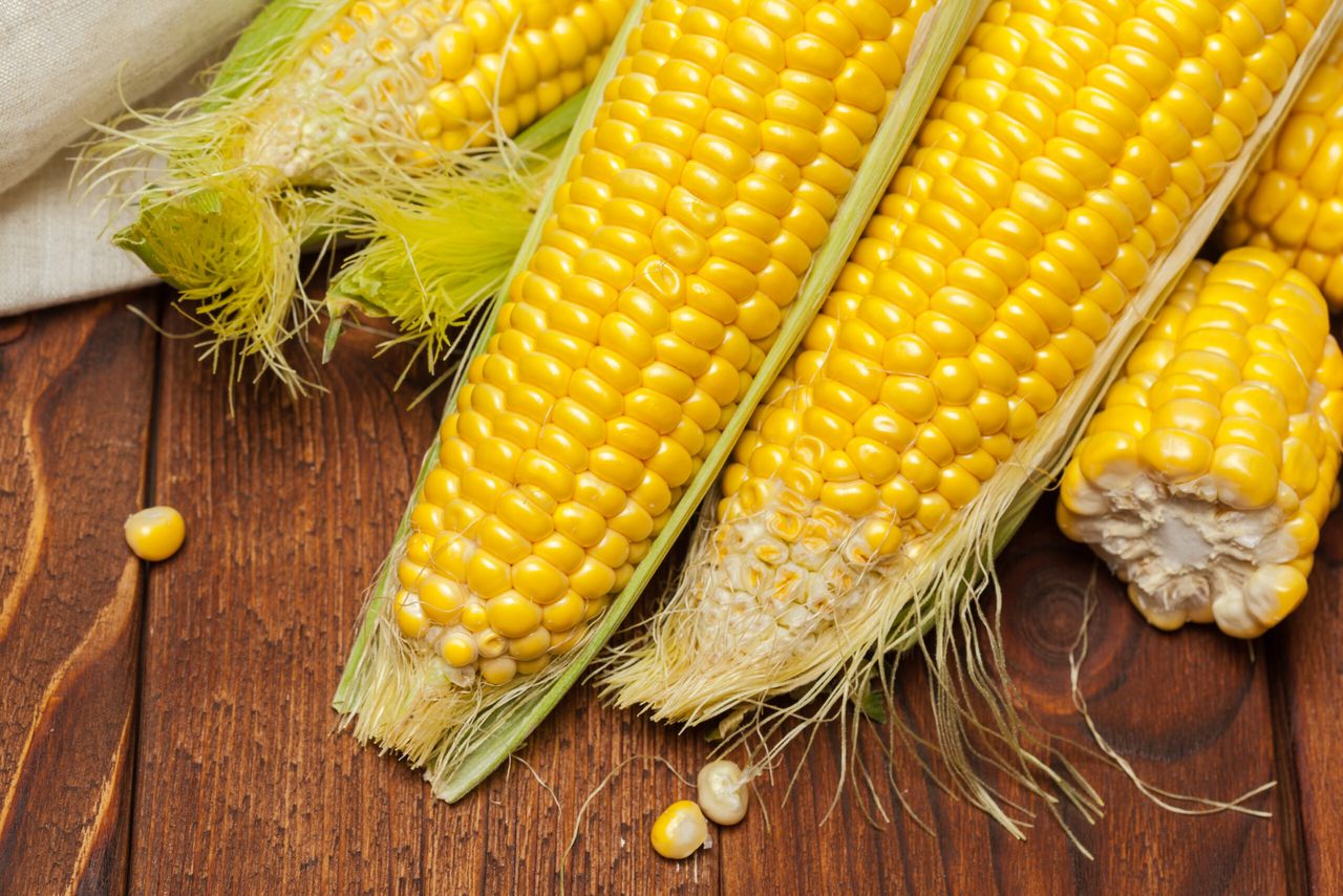 fresh corn on wooden table