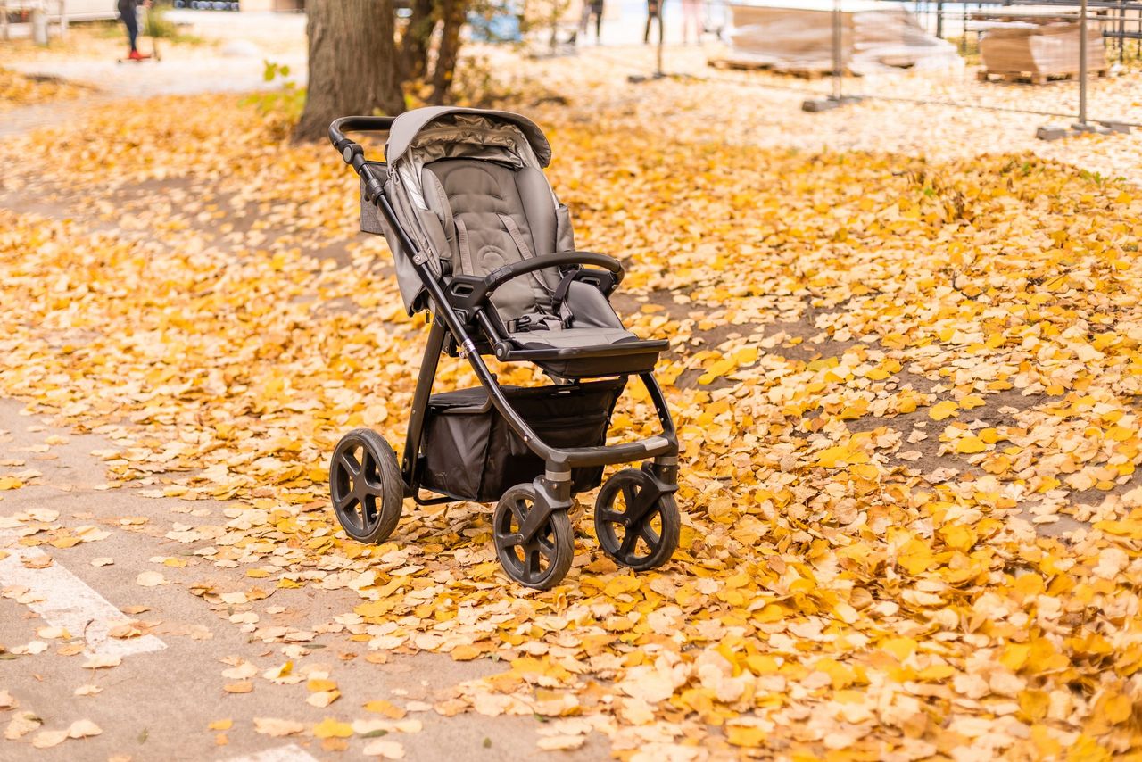 empty stroller in autumn park.
