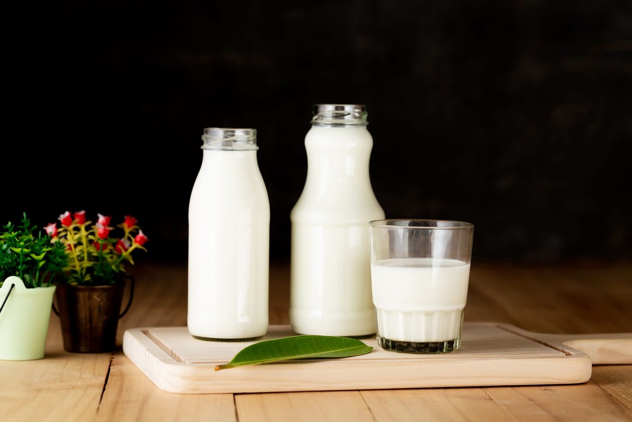 milk products - tasty healthy dairy products on a table