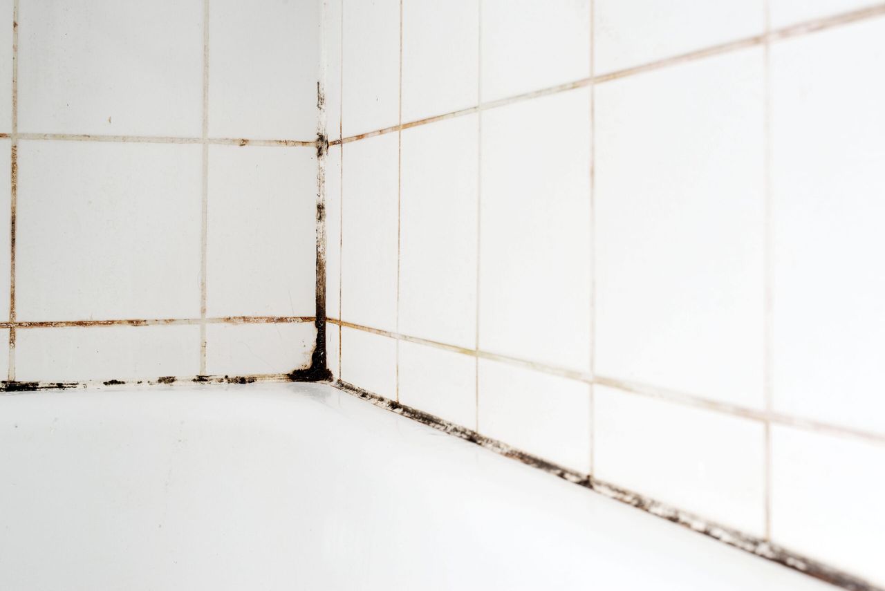 Pleśń pod prysznicem, fot. Adobe Stock