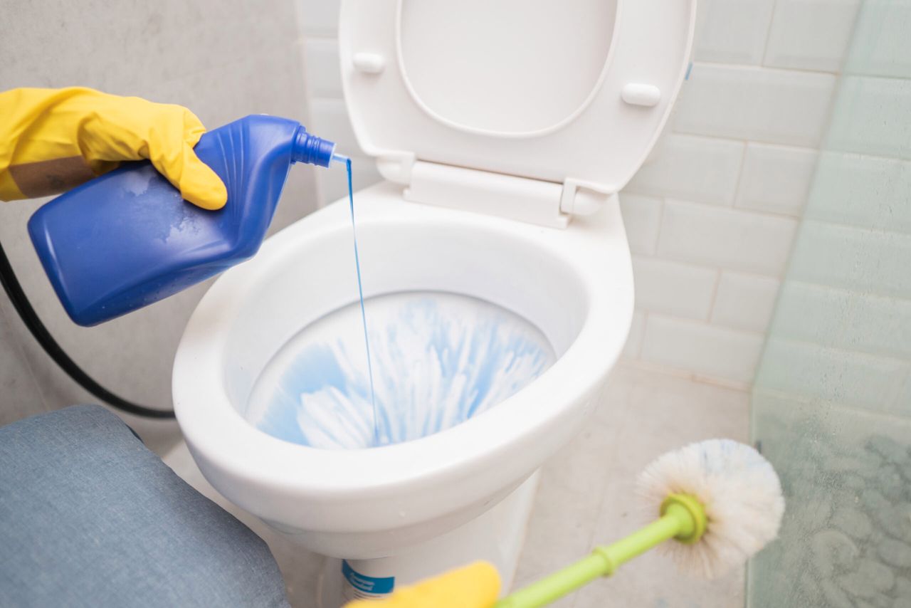 someone wearing a glove poured out the cleaning liquid and held the brush while cleaning the toilet in the bathroom