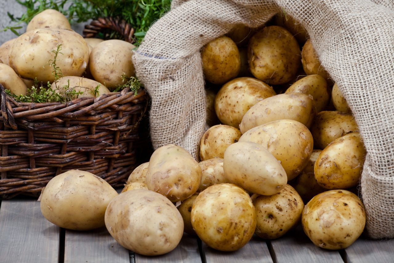 Co zrobić, żeby ziemniaki nie kiełkowały, fot. Adobe Stock