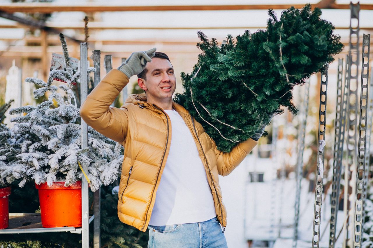 Handsome man choosing a christmas tree in a greenhouse