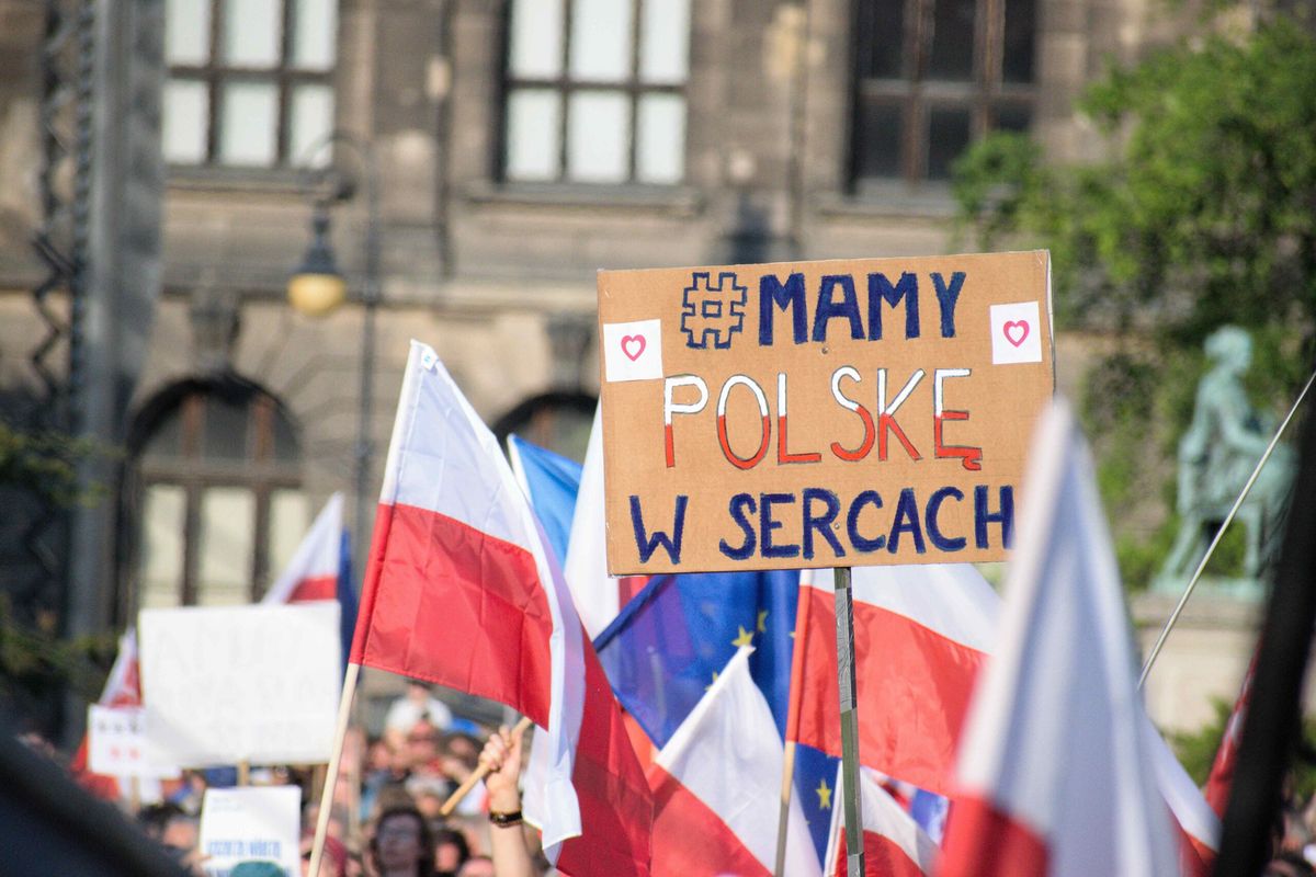 zdjęcie