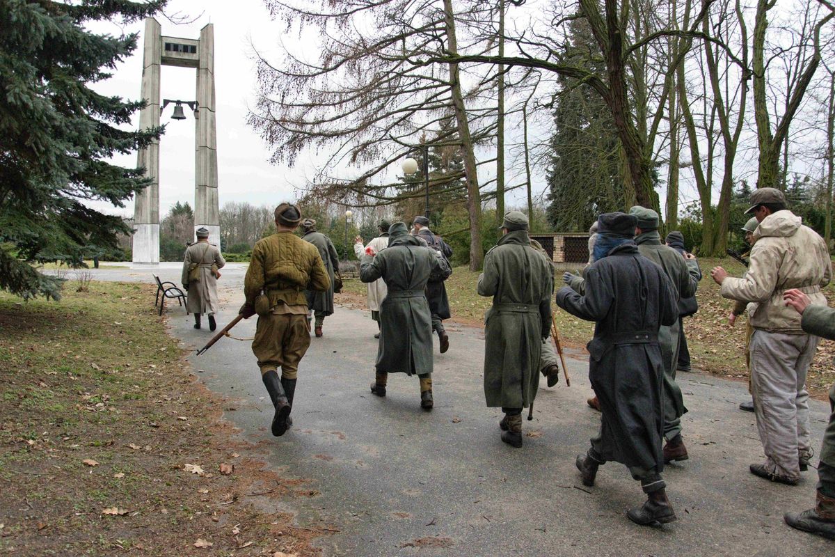 zdjęcie