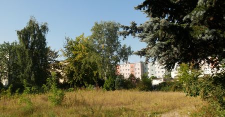 Co zostało z przedszkola? Miejsce, które miało służyć, teraz porasta chaszczami