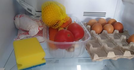 Włóż gąbkę do mycia naczyń do lodówki. Kiedy zobaczysz co się stanie, nie pożałujesz