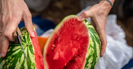 Idealnego arbuza rozpoznaję już w sklepie. Postukaj w owoc, a prawdę ci powie