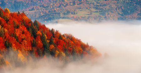 Rzuć wszystko i wyjedź... w Tatry. Jesienią są jeszcze piękniejsze!