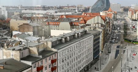 Święty Marcin: historia, tradycja i święto kultowej ulicy Poznania
