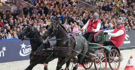 Cavaliada 2023: rywalizacja z powozami w roli głównej nie obyła się bez niespodzianek