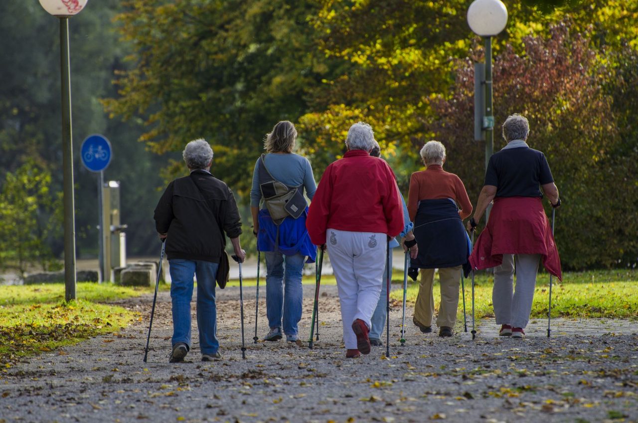Ruszyły zapisy na kolejną edycję Poznań Nordic Walking