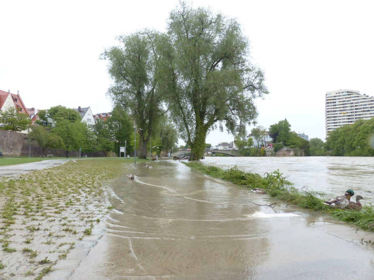 Ostrzeżenia hydrologiczne II stopnia dla północy Polski