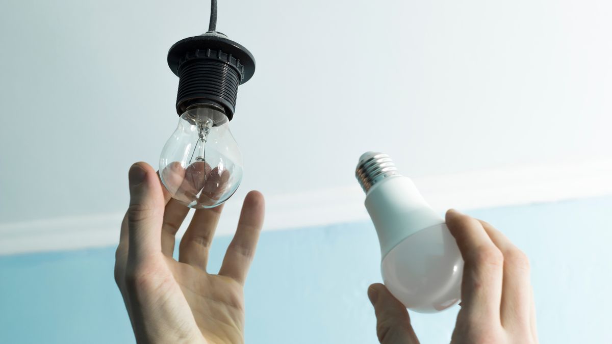 Ledy to nowoczesne i energooszczędne źródła światła, dzięki którym możemy bezpiecznie i niskim kosztem oświetlić wybraną przestrzeń.