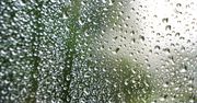 Wigilia głównie z deszczem, na zachodzie z temperaturą do 10 stopni Celsjusza