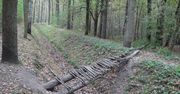 Poszukiwani świadkowie