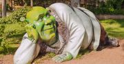 Chcesz poczuć się jak Shrek i zanocować na bagnie? Musisz spełnić 1 warunek