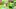 Yooka-Laylee and the Impossible Lair, czyli ryzykowna kontynuacja małego hitu Playtonic, zadebiutuje w…