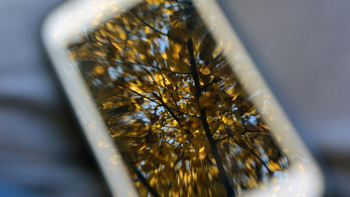 Europa Ubezpieczenia z innowacyjnym podejściem do polis. Ubezpieczenie dostępne przez telefon