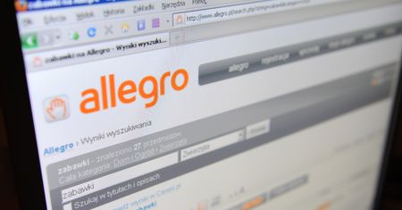 TOP 10 najdziwniejszych aukcji internetowych. Nie uwierzysz, co ludzie sprzedają na Allegro