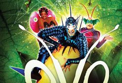 Cirque du Soleil powraca do Polski. Po raz pierwszy ze spektaklami OVO!