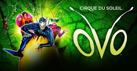 Dodatkowy spektakl "Ovo" grupy Cirque du Soleil