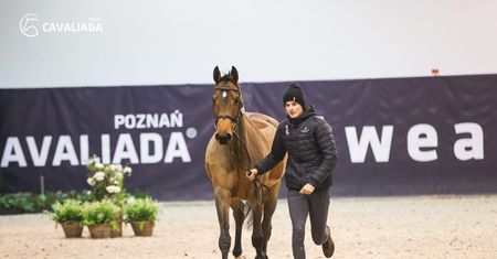 Cavaliada 2023 – rozpoczyna się wielkie święto jeździectwa w Poznaniu