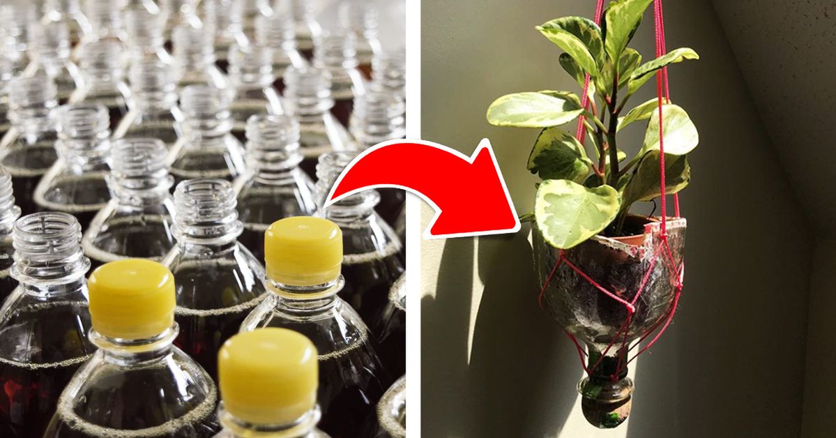How to Re-Use Plastic Bottles? 16 Inspiring Ideas