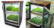 Urban Cultivator - domowa uprawa ziółek