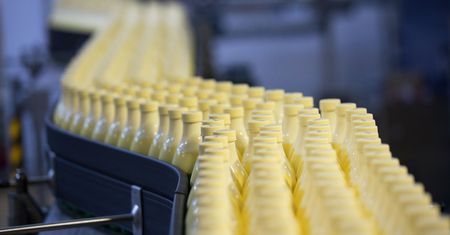 Rozcieńczali mleko wodą. Afera w jednej z największych spółdzielni mleczarskich w Polsce