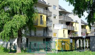 "Wirtualne Drzewo", czyli 10 tys. drzew na wrocławskich Osobowicach