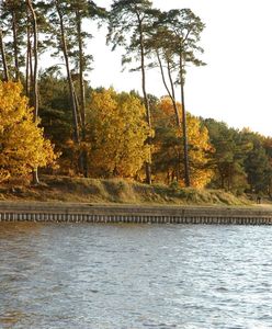 Lublin: Oblał się benzyną i chciał podpalić nad Zalewem Zemborzyckim