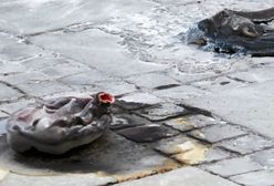 Jacek Żakowski: Mnie już budzić nie trzeba. A was?