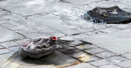 Kataryna: Samobójstwo to nie akt polityczny