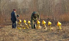 Katastrofa smoleńska. "Nie ma śladu uderzenia w brzozę"