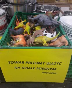 Proszę mi zważyć jeszcze tyranozaura. Takie rzeczy tylko w Toruniu