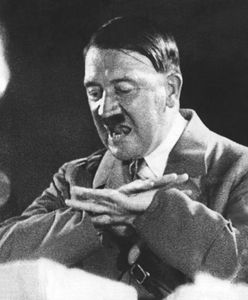 Niemcy ofiarami Hitlera? "Bulwersujący sondaż"