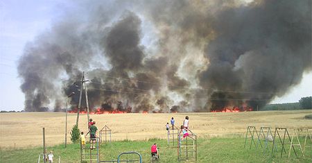 Walczący z ogniem