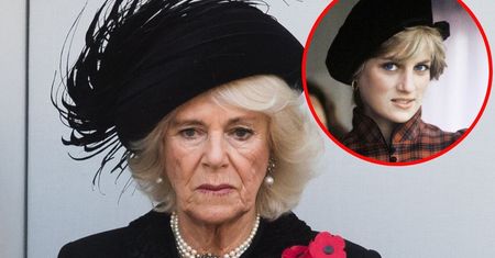 Księżna Camilla nie znosiła księżnej Diany. Wystrój jej łazienki miał to potwierdzać