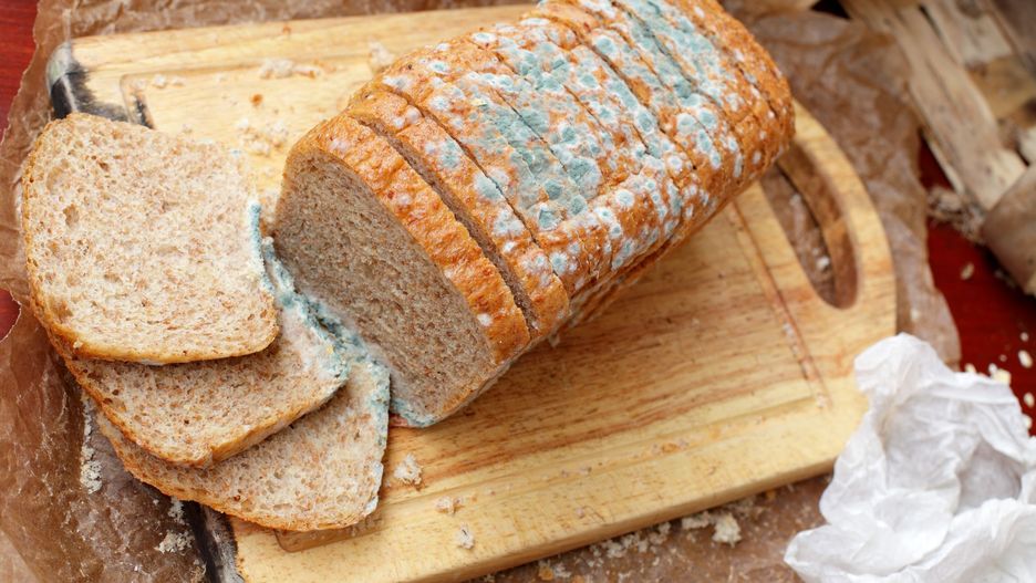 Nie wszystkie produkty trzeba wyrzucać, ale niektórych absolutnie nie powinno się spożywać