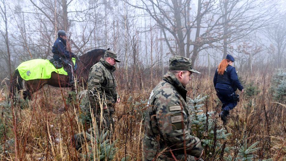 Akcja "CHOINKA-18" w miejscowości Glinna. Policjanci i strażnicy leśni patrolują lasy. Wszystko, by złodzieje drzewek nie pozostali bezkarni