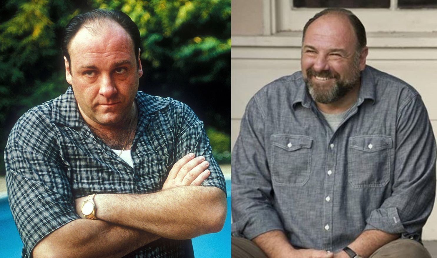 James Gandolfini 