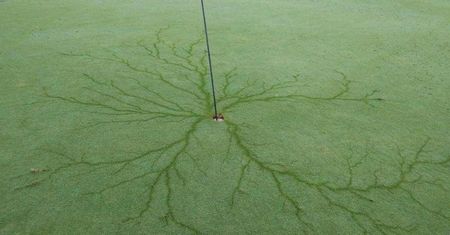 Klub golfowy z USA gratuluje Bogu. "Co za wspaniałe uderzenie!"