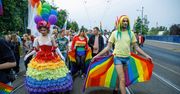 Adopcja nie dla par homoseksualnych. Wiceminister sprawiedliwości chce zmienić prawo
